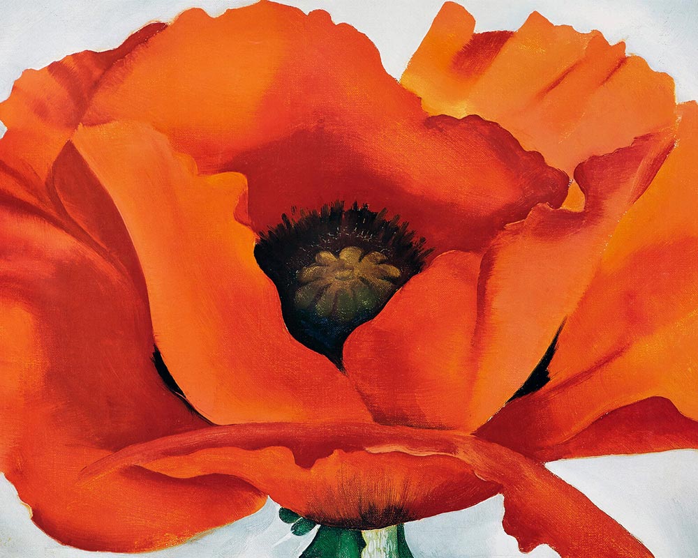 Red Poppy, by Georgia O'Keeffe (1927)